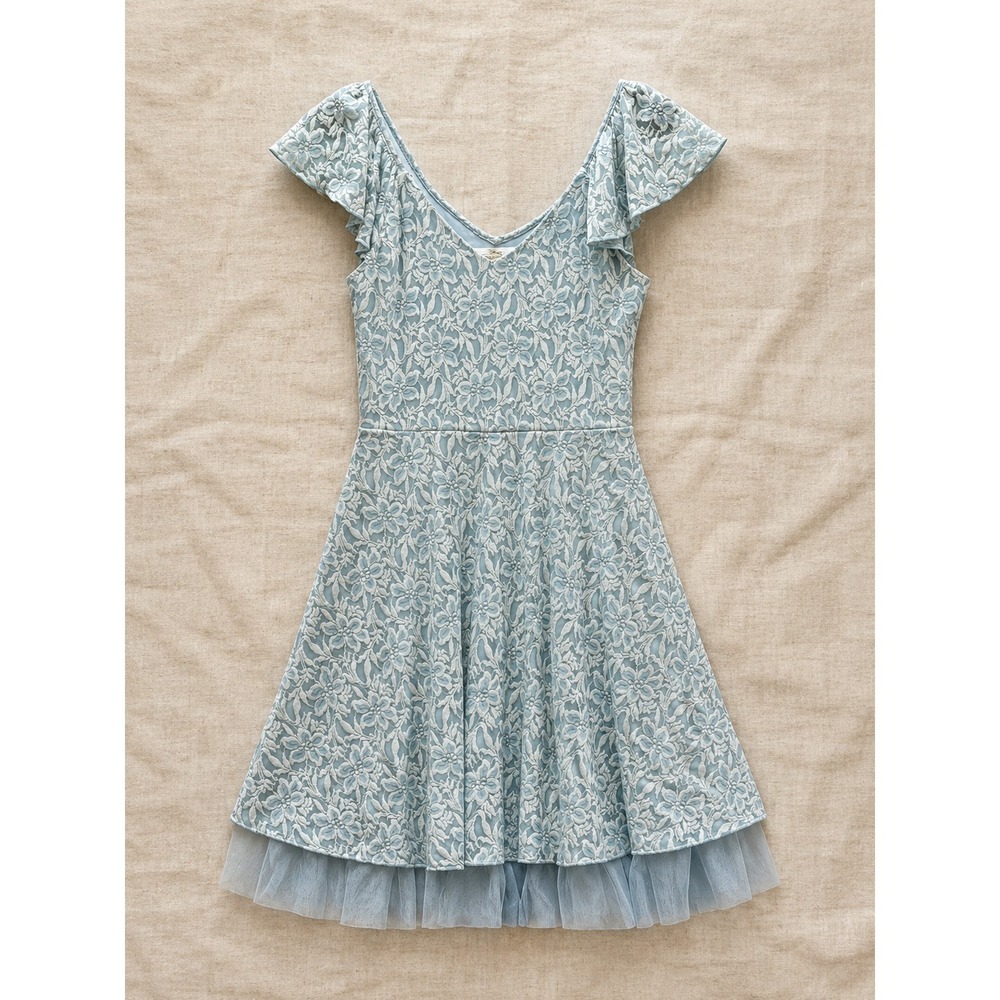Whismsical Blue Lace Dress Tulle Hem Flutter Sleeve Cinderella Cottagecore